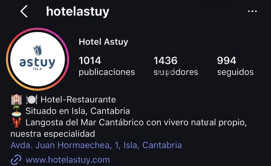 Perfil de @hotelastuy antes